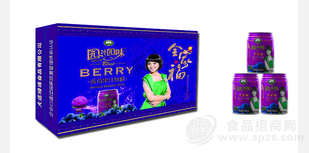 园汁园味易拉罐饮料248ml 16瓶