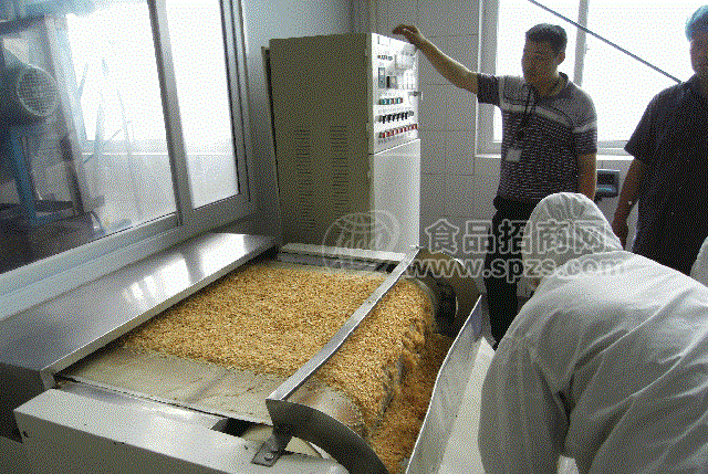 连续式食品微波灭菌烘干机