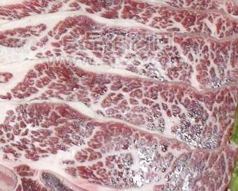 供应批发冷冻牛百叶牛肚牛柳牛腩牛排牛肉