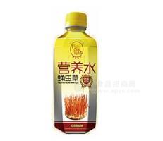 君来菌往蛹虫草营养水（无糖型）