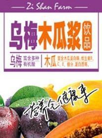 乌梅木瓜浆饮品