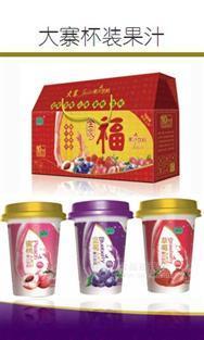 大寨杯装果汁