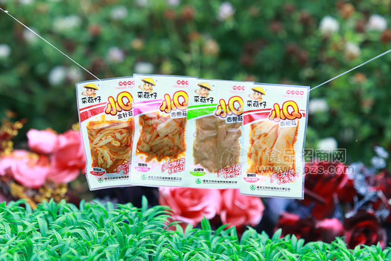 采菇仔小Q杏鲍菇