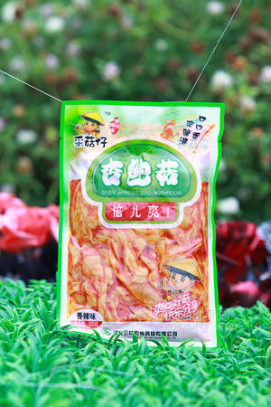 采菇仔杏鮑菇（香辣味）300克