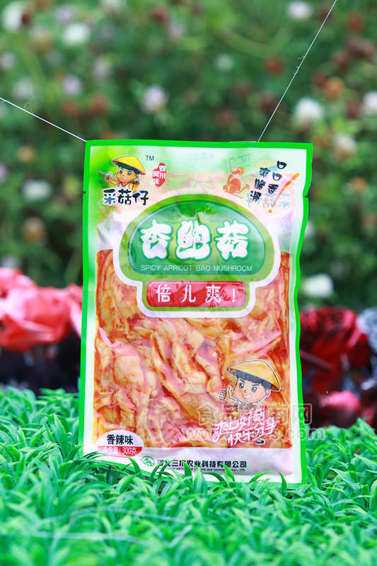 采菇仔杏鲍菇（香辣味）300克