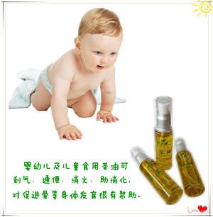 食用油 育子油 健康油 广西鑫圣林山茶油