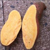 批发红薯