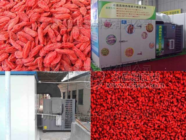 小型优质枸杞烘干机 节能实惠枸杞烘干机