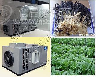 节能先进蔬菜烘干机 直销智能蔬菜烘干机