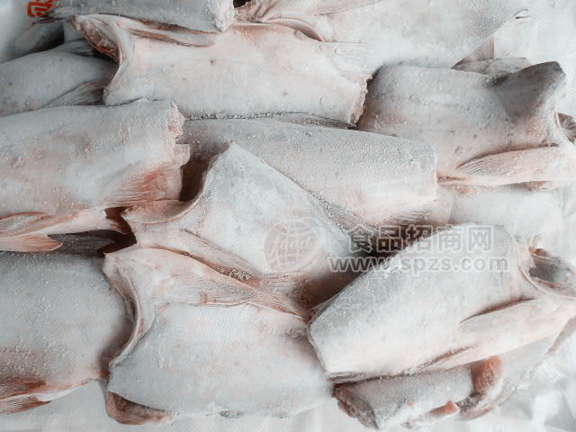 冷冻三除白鲢鱼