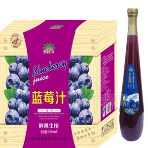 果汁飲料藍(lán)莓汁2