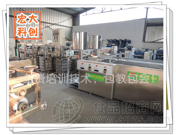 全自动豆片机厂家直销 自动豆片机价格