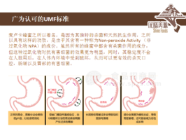 umf標準