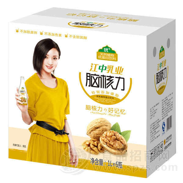 江中乳业脑核力 核桃植物蛋白饮料 1Lx6瓶