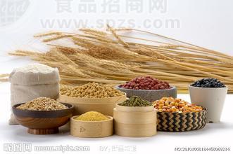 春雷杂粮燕麦片