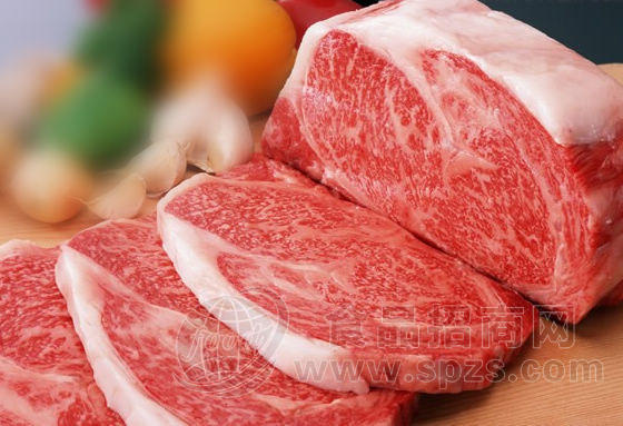 长期批发冷冻牛腩