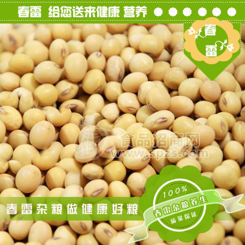 春雷杂粮黄豆