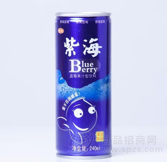蓝莓果汁饮料