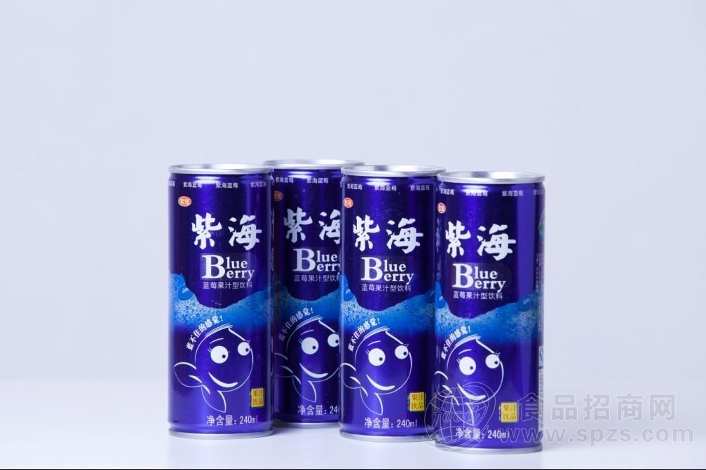 蓝莓果汁型饮料