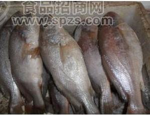 专业批发冷冻松鱼水产