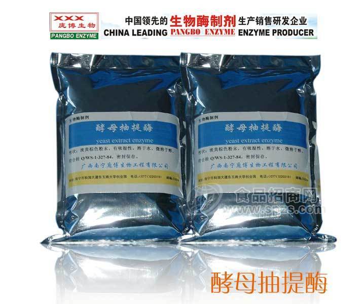 酵母抽提酶，食品级酵母抽提酶庞博生物厂家供应