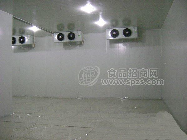 全国目前冷冻冷藏冷水机能力