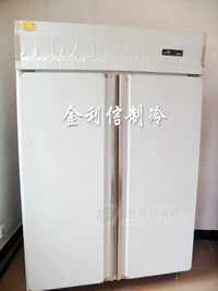 超低温速冻柜急速冷冻柜