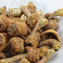 专业批发笋干  干香菇 茶树菇 白木耳