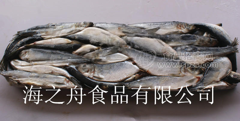 青鱼