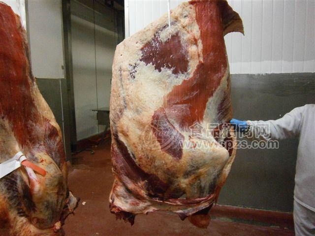 冷冻牛排牛鞭牛肚牛肉牛杂牛腱牛百叶