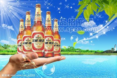 金威純爽啤酒330mlx24罐廠家批發(fā)