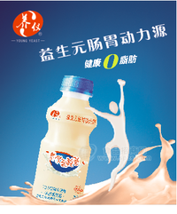 養(yǎng)儀乳酸菌338g