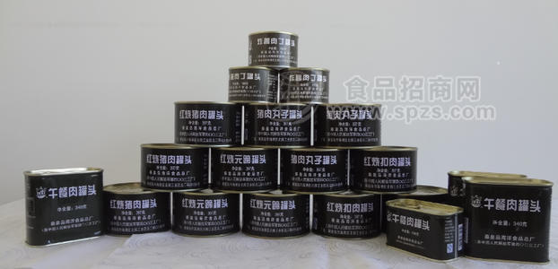 肉罐头集锦 海洋食品总厂