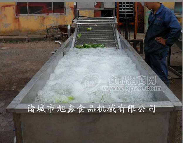 蔬菜清洗设备