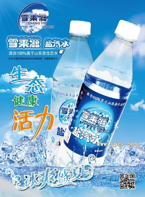 盐汽水招商
