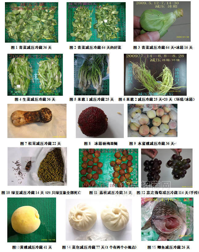 減壓冷藏試驗倉