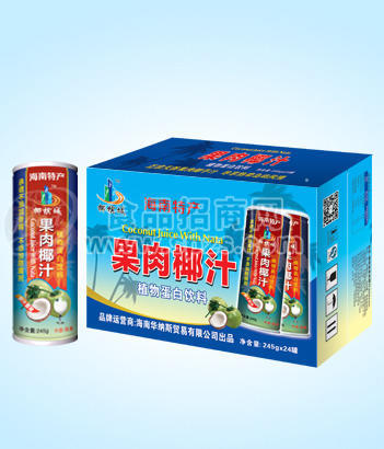 全国招商椰子汁