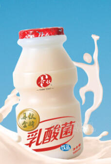 養(yǎng)儀乳酸菌飲料全國招商小瓶裝