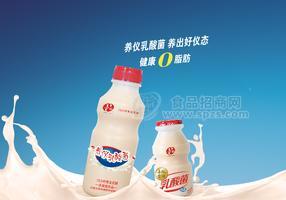 養(yǎng)儀乳酸菌飲料全國招商