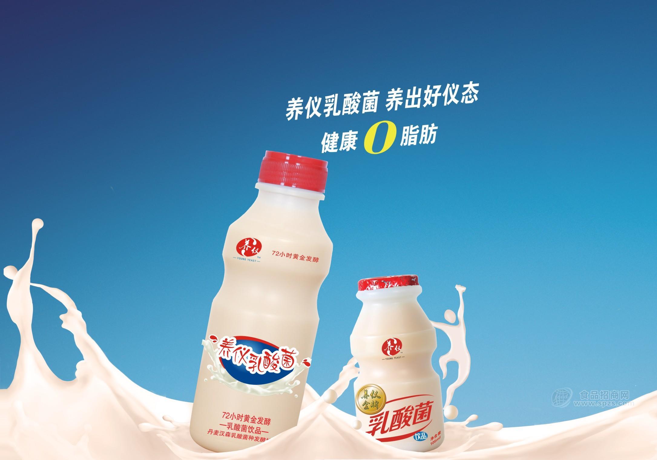 養(yǎng)儀乳酸菌飲料全國招商
