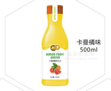 潤(rùn)天源卡曼橘味 果汁飲料