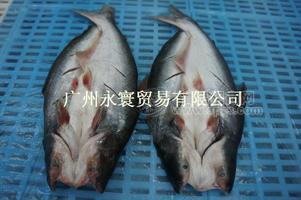 冷凍開背巴沙魚