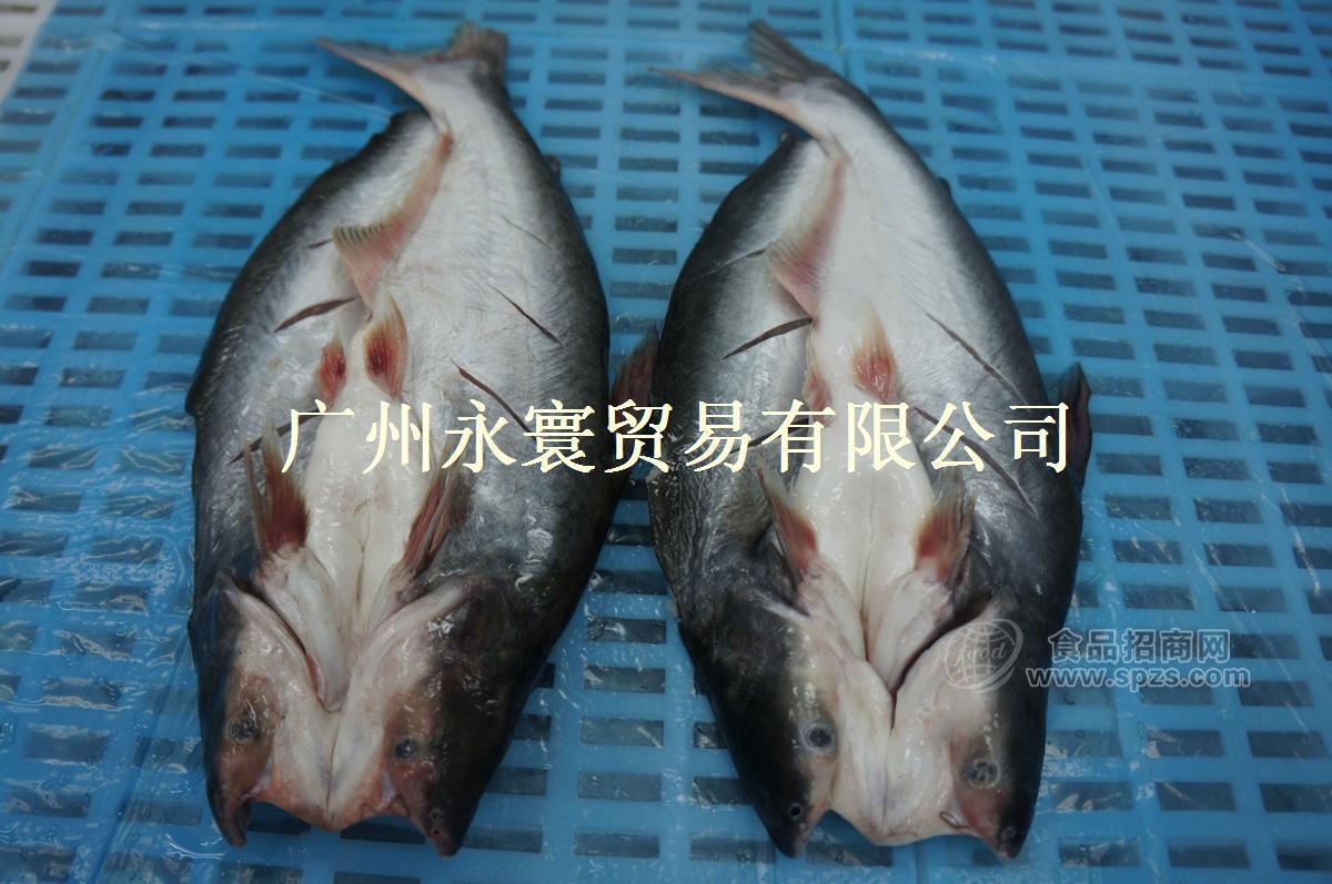 冷凍開(kāi)背巴沙魚