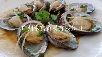 特技活凍優(yōu)質(zhì)鮑魚