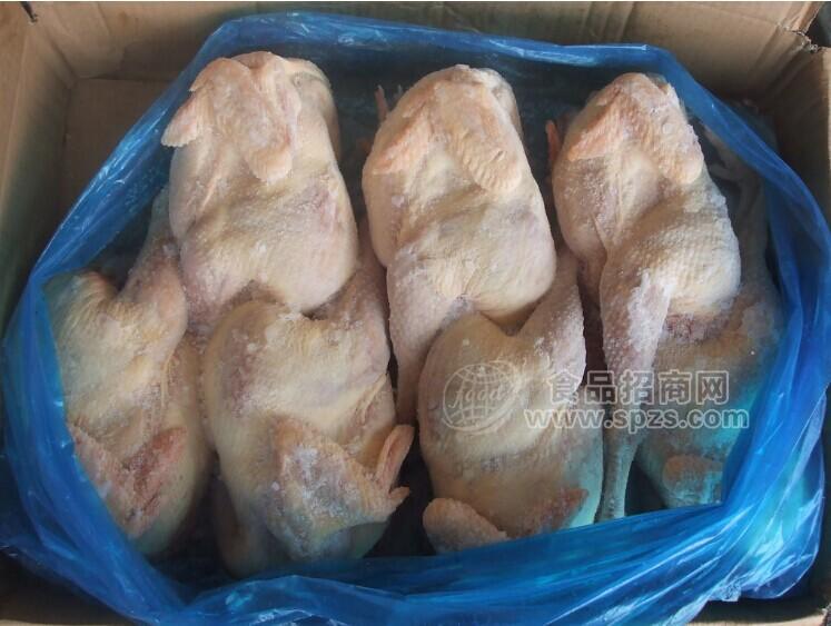 批发童子鸡 三黄鸡 白条鸡