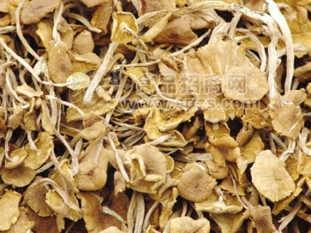 批发干草菇 干蘑菇 干平菇 猴头菇