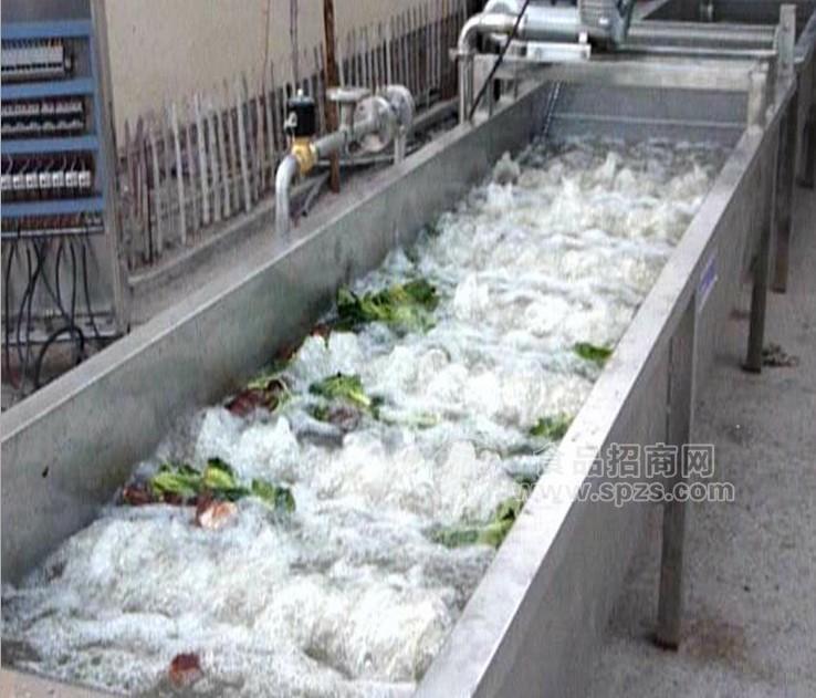 菜叶清洗机 豆芽清洗机 连续式气浪鼓泡清洗机
