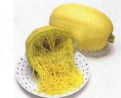 球茎茴香种子