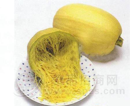 羽衣甘蓝种子