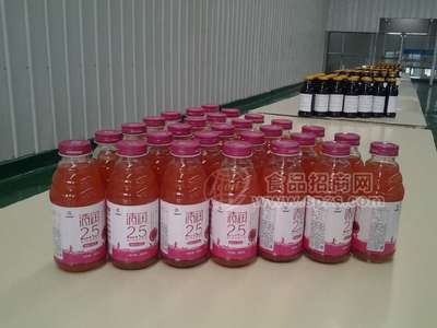清润2.5樱桃汁饮料